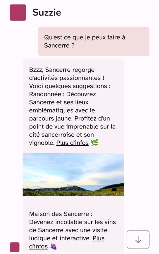 Capture Chatbot