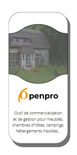Open Pro